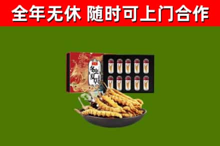 铜官区回收冬虫夏草价格